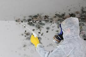 Best Forensic Mold Investigation  in Thiells, NY